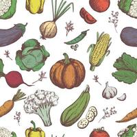 Vegetables seamless pattern. Vegetables background. scatch style. vector