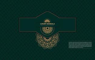 Luxury mandala background design. vector