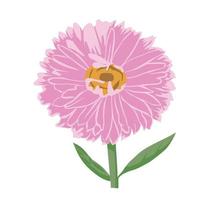 diseño de arte de clip de color de flor de aster vector