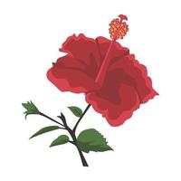 diseño de imágenes prediseñadas de color de flor de hibisco vector