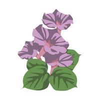 Morning Glory Flower color clip art Design vector