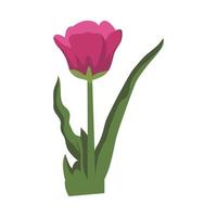 diseño de imágenes prediseñadas de color de flor de tulipán vector