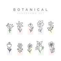 abstract botanical hand drawn colorful flower  vector set