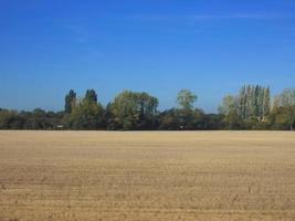 Countryside near Cambridge photo