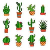 Blooming cactus. Cactus with flower. Cactus in pot. Colored cactus. vector