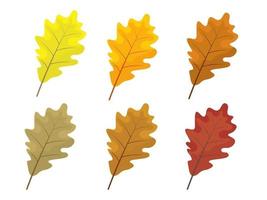 conjunto de coloridas hojas de otoño. dibujos animados y hojas de estilo plano. vector
