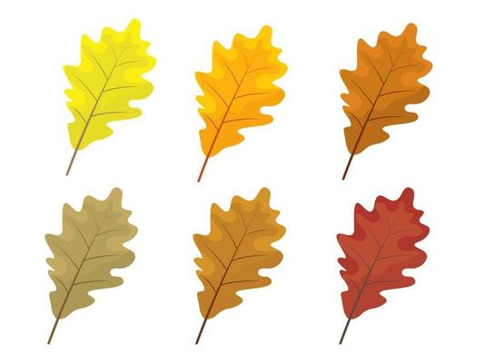 Set of colorful autumn leaves. Cartoon and flat style leafs.