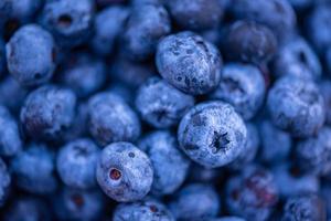 Fresh Bilberries. Close-up background. Soft focus. Shallow DOF. photo