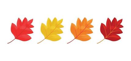 iconos de hojas de otoño aisladas sobre fondo blanco vector