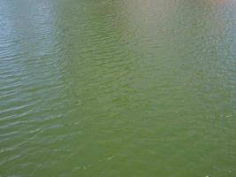 Green water background photo