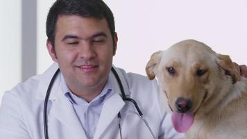 Veterinarian giving dog a checkup video