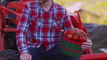 portret van boer zittend op tractor met mand met tomaten video