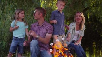 Family toasting marshmallows on camp fire video