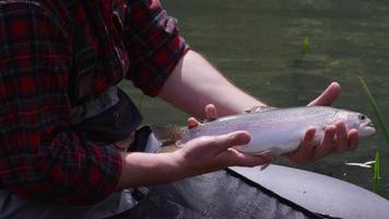 Fly fisherman holding rainbow trout video