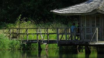 Two young boys walking on dock at lake video