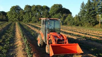 agricultor conduciendo el tractor por las hileras de cultivos video