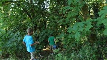 Two boys walking through woods with fishing gear video