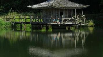 Jungs, die vor dem Dock fischen video