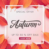 Autumn sale background layout decorate with leaves vector
