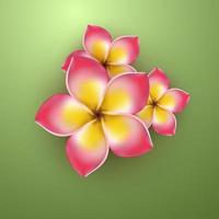 realistic yellow pink tropical flower vector