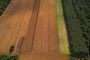 Vista aérea de los campos de la campiña polaca durante el verano foto