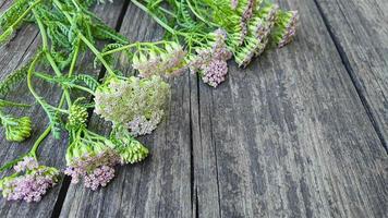 Old rustic wood surface with leaves. Boards for background photo