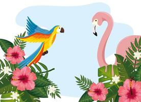 group of animals exotics with flowers and leafs vector