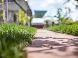 The path of the tiles. Green grass in the yard. lawn photo