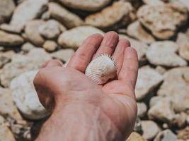 Seashell In Male Hand On A Background background of sea stones photo