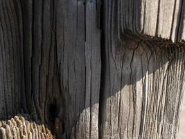 hermoso fondo de madera natural. tronco de árbol seco textura de madera. foto