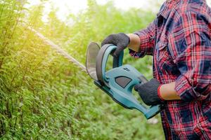 Jardinero sosteniendo un cortasetos eléctrico para cortar la copa del árbol foto