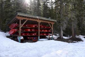 canoes stored for winter photo