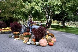 Pumpkins Gourds and a Scarecrow on a Tractor photo