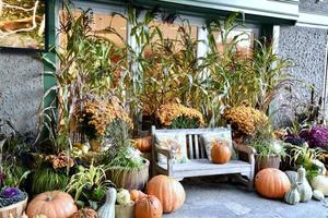 Thanksgiving Pumpkins and Gourds photo