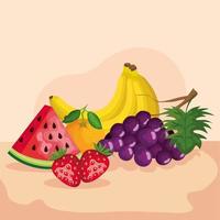 Grapes strawberries watermelon orange and banana vector design