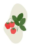 Still life with garden strawberries. vector