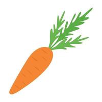 Carrot isolated on a white background in a flat style. vector