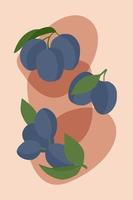 Blue plums on a minimalist beige background. vector