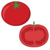 tomates rojos aislados en un fondo blanco. vector