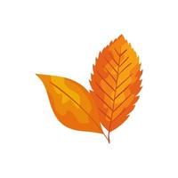 season autumn leafs isolated icon vector