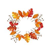 frame circular of autumn leafs and fruits vector