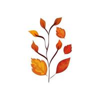 season autumn branch with leafs vector