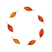 frame circular of autumn leafs vector