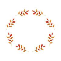 frame circular of autumn branches with leafs vector