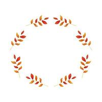 frame circular of autumn branches with leafs vector