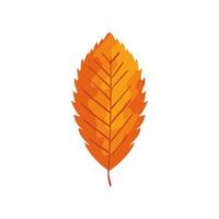 season autumn leaf isolated icon vector