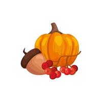 season autumn pumpkin with nut and fruits vector