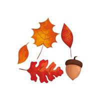 season autumn leafs with nut isolated icon vector