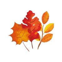 season autumn branch with leafs vector