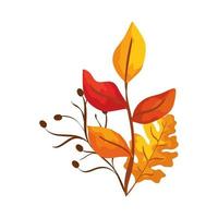 season autumn branches with leafs vector